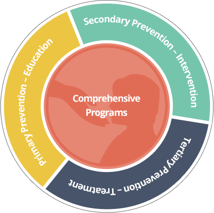 Diagram of the available comprehensive programs.