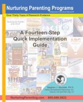 A Fourteen-Step Quick Implementation Guide (PIM#3)